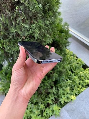 apple mac: IPhone 13 Pro, Б/у, 256 ГБ, Alpine Green, Коробка, 72 % — 7