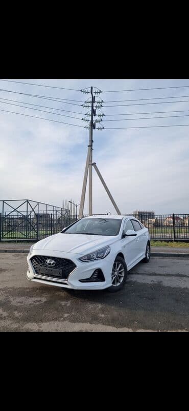 соната 2022: Hyundai Sonata: 2022 г., 2 л, Автомат, Газ, Седан — 8