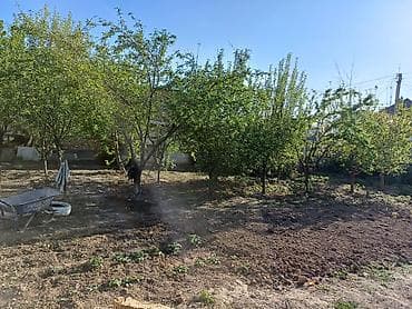 сдаю аю гранд: Отдельно стоящая комната с участком - Светлая комната правильной — 5