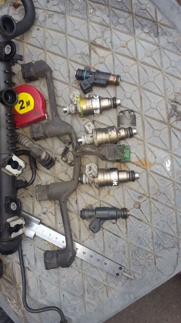 купить попугаев неразлучников: Peugeot партнёр форсунки ступицы рулевые рейки фары — 1