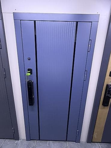 двери хайтек: Двери для домов и квартир, Металлическая, Одностворчатая, В стиле хай-тек, цвет - Синий — 1