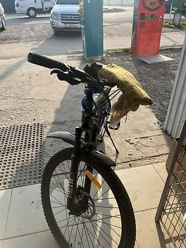 1 тыйын: Тоо велосипеди, Алюминий — 2