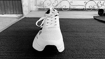 адидас терекс: Мужские кроссовки, 43, Adidas, Новый, цвет - Белый, Бесплатная доставка — 2