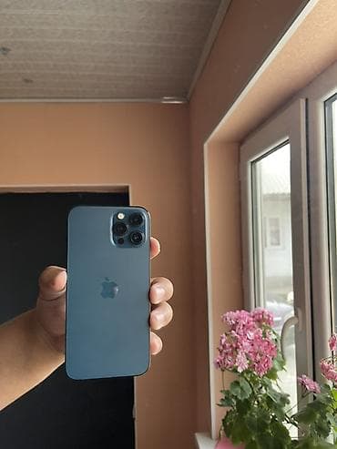 Смартфон Apple iPhone с тройной системой камер Pro. Характеристики и