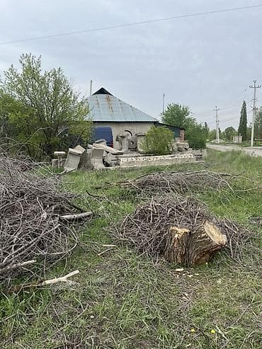 Жер тилкелери: 5 соток, Курулуш, Кызыл китеп — 8