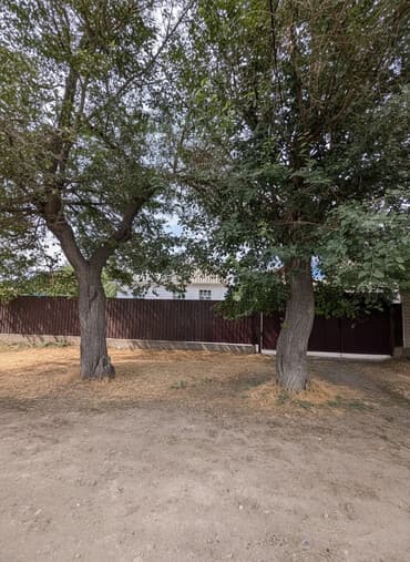 дом продаю токмок: 6 соток, Для строительства, Красная книга — 1