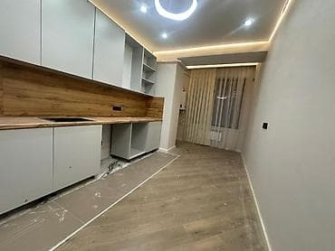 1 комната, 45 м², Элитка, 1 этаж, Дизайнерский ремонт