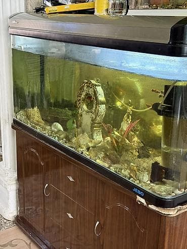 гусь: Большой аквариумный комплект JEBO с тумбой - Объем: крупный — 1