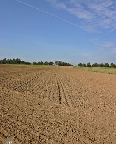 квартира 2 комната бишкек: 260 соток, Айыл чарба үчүн, Сатып алуу-сатуу келишими — 1