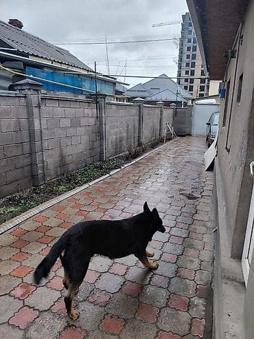 all group: Продаю дом для застройщика — 7