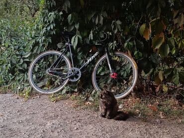 Шкафтар: Жел толтурма матрас, Колдонулган, Эки кишилик, Башка бренд, Өзү алып кетүү, узуну - 190 см — 2