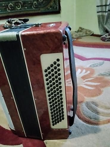 гитаа: Аккордеон (пятиклапанный регистр, классическая компоновка) - — 2