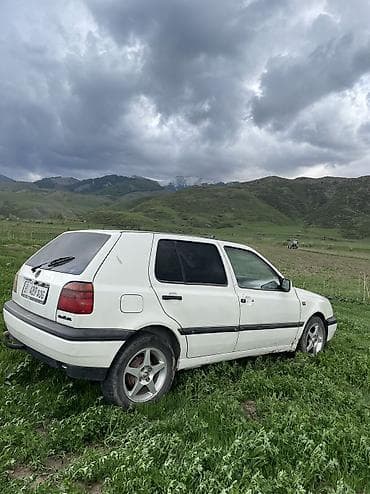 colf 2: Volkswagen Golf: 1993 г., 1.8 л, Механика, Хэтчбэк — 2