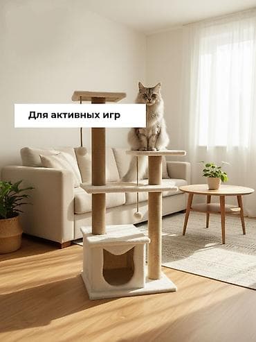 бу детские коляски: Когтеточка- домик для кошек ( состояние б/у в очень хорошем — 2