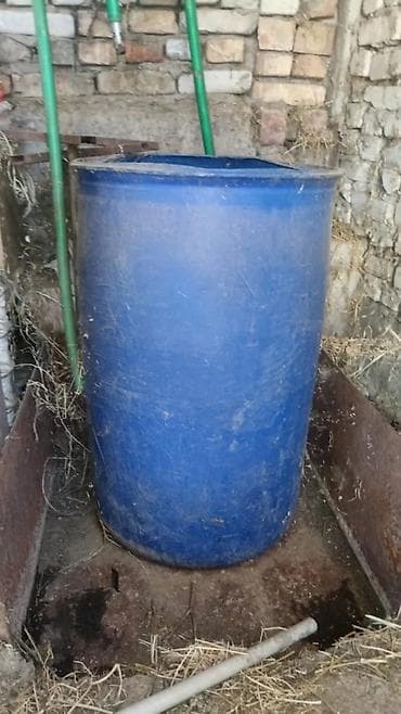 прозрачный ящик: Бочка Пластик — 1