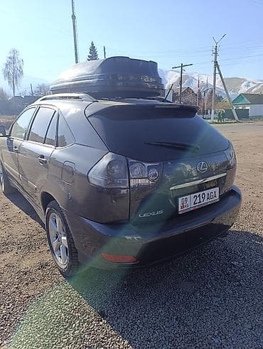 daf xf 95: Lexus RX: 2006 г., 3.3 л, Автомат, Газ, Кроссовер — 4