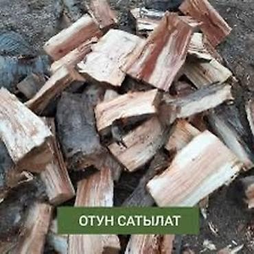 Дрова Бесплатная доставка