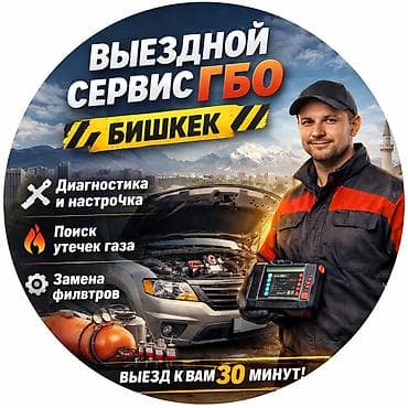 Установка ГБО, Компьютерная диагностика, Проверка степени износа деталей автомобиля, с выездом