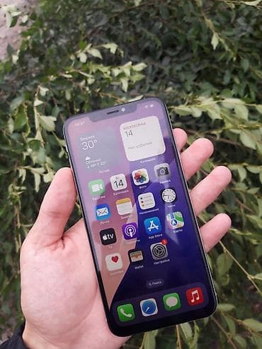 сд аудио: IPhone X, Серебристый — 4