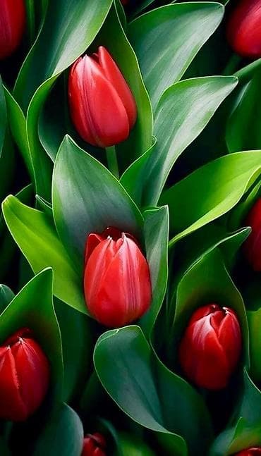 город игрушка: Жалгыз бой энемин тамак Аштан же киийм кечеден жардам керек сураныч — 1