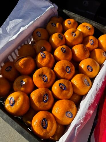 ель голубая цена: Мандарины — 7