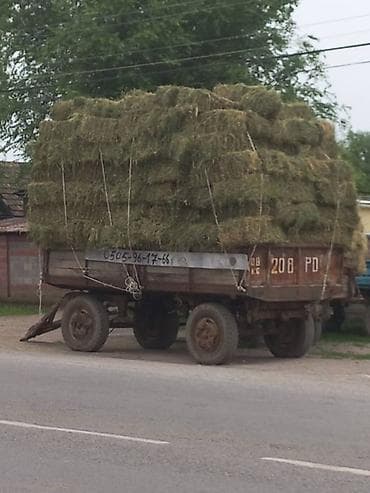Клевер в тюках 1 кос прошлогодний клевер 95% клевер сухие 600 штук