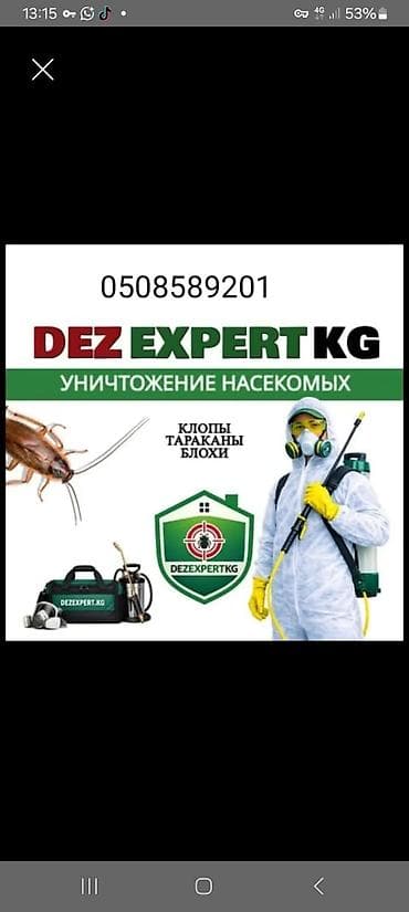 Дезинфекция, дезинсекция: DEZ EXPERT KG — профессиональная дезинсекция. Уничтожение насекомых — 1