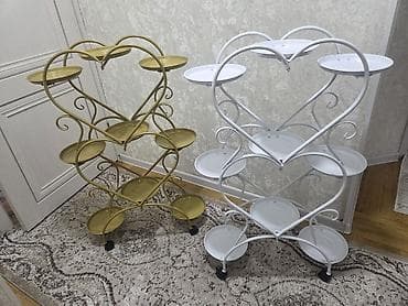 цветы бабочка: Композиция из суккулентов и кактусов в декоративном кашпо - Живые — 6