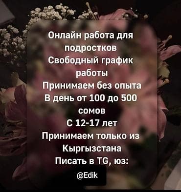 Работа: Онлайн-работа для подростков из Кыргызстана - Формат: удаленно — 2