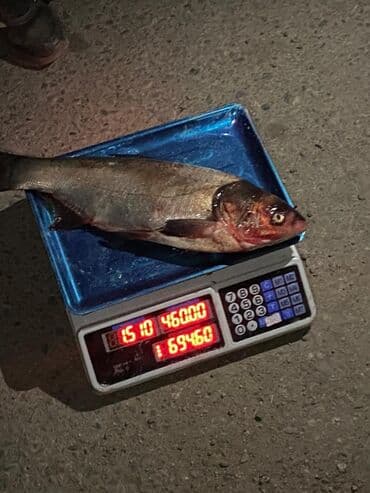 аквариум балык: Свежий, 1 кг — 4