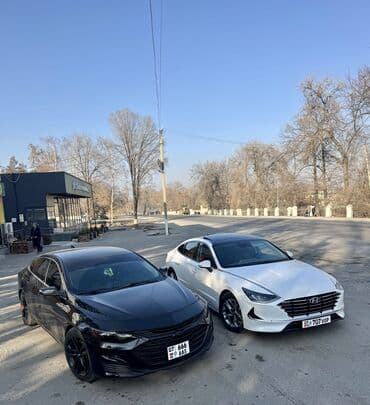 сонаиа: Hyundai Sonata: 2021 г., 2 л, Робот, Газ, Седан — 10