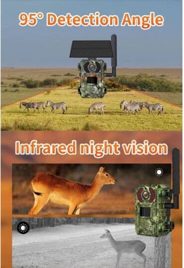 ящик почтовый: Фотоловушка 4G с солнечной панелью Фотоловушка с солнечной — 5