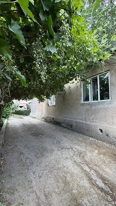 Продажа домов: Продаётся кирпичный частный дом с двором и хозпостройками. Участок 4 — 3
