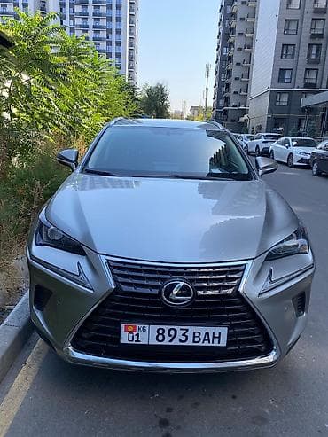 low ll: Lexus NX: 2021 г., 2 л, Автомат, Бензин, Кроссовер — 1