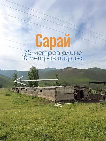 колоновидные яблони: Кошара, 100 соток, Действующий, Электричество — 3