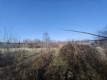 Жер тилкелери: 5 соток, Бизнес үчүн, Сатып алуу-сатуу келишими, Кызыл китеп — 6