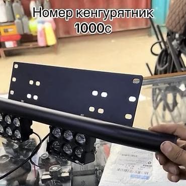 туманик 210: Крепление для номерного знака с дугой под кенгурятник + светодиодные — 1