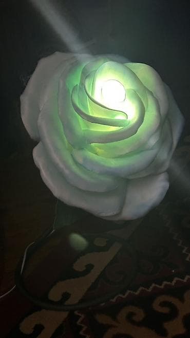 ночник тюльпан: Настольный и настенный светильник в виде крупной розы. - Дизайн — 4