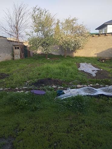 жилой дом балыкчы: Дом с участком. Одноэтажный жилой дом с двускатной крышей из — 2