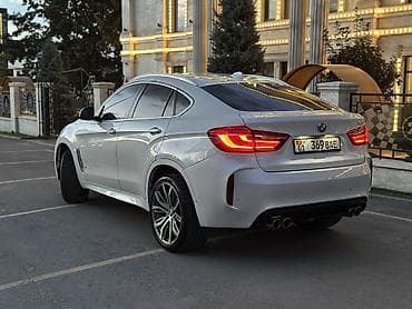 BMW X6: 2017 г., 3 л, Автомат, Дизель, Внедорожник — 5