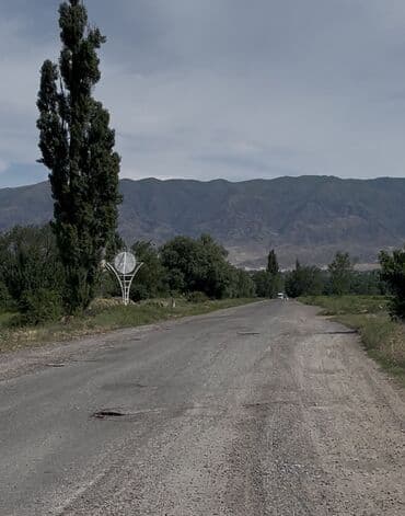 дома в арашане: 15 соток, Для бизнеса, Красная книга — 1