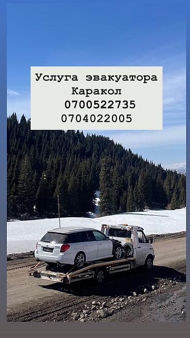 С лебедкой