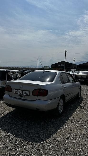 corolla runx: Nissan Primera: 2001 г., 1.8 л, Механика, Бензин, Седан — 3