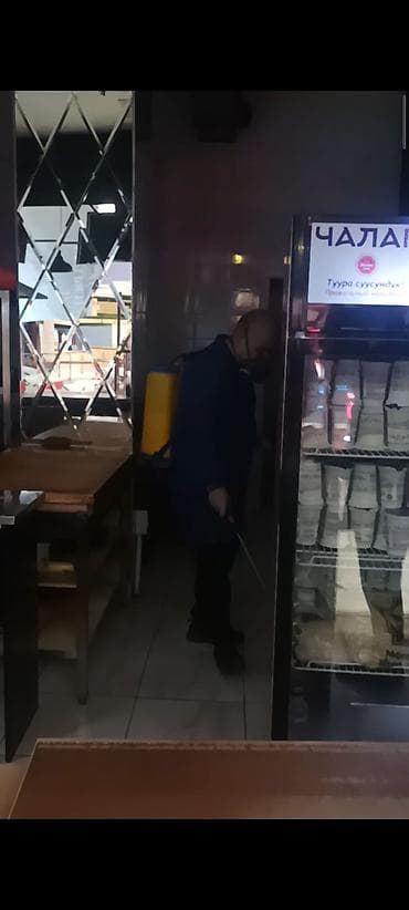 Дезинфекция, дезинсекция, | Клопы, Блохи, Тараканы, | Транспорт, Офисы, Квартиры