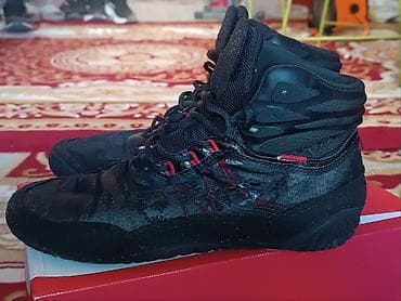 Электротранспорт: 2500 — 4