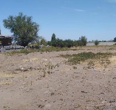 участа: 20 соток, Для строительства, Красная книга — 3