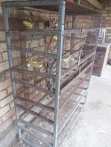 клетка для шиншиллы: Большой вольер/клетка для птиц - Просторная металлическая конструкция — 2