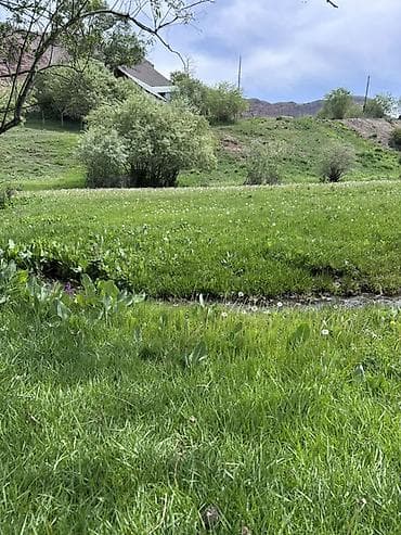 кун туу жер сатылат: 5 соток, Курулуш, Кызыл китеп — 1