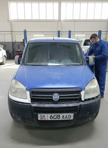 Fiat Doblo: 2009 г., Кроссовер
