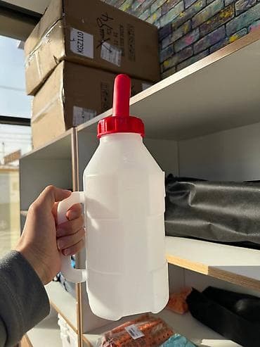 scottish fold: Соски для телят с бутылкой соски для ягнят с бутылкой соска 1 литр — 8